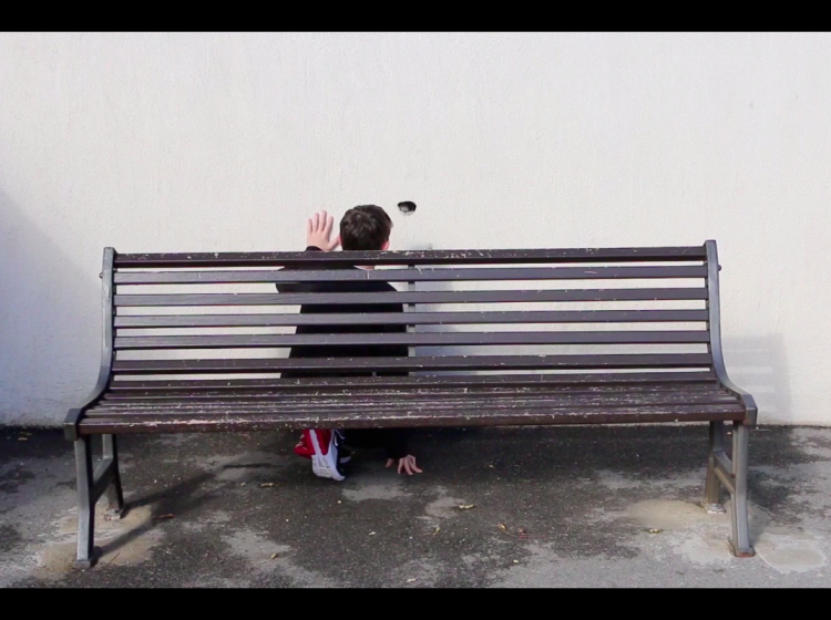 'Dans un petit trou vit une chouette ...' vidéo Hd, son