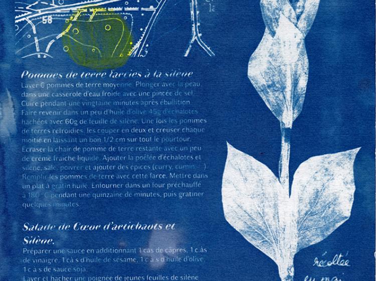 Herbier culinaire