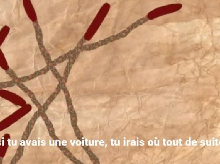Illustration Le grain des choses