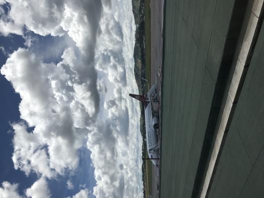 Avion