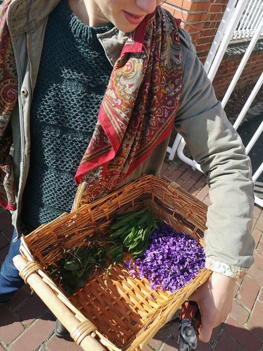 cueillette sauvage, flore spontanée comestible