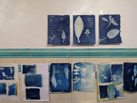 premiers tests de cyanotype
