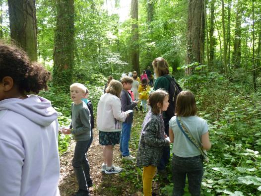 forêt cueillette 