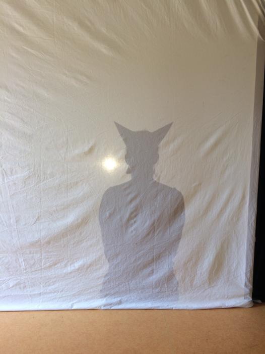 test ombres oreilles de loup