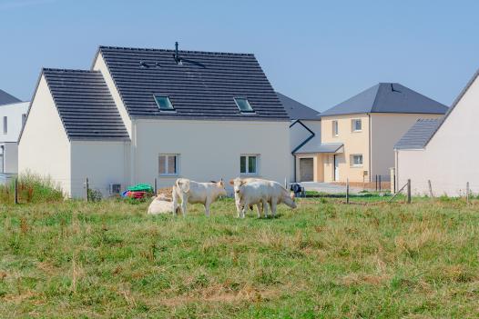 plaine 06