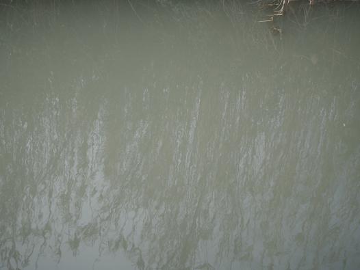 L'eau des canaux