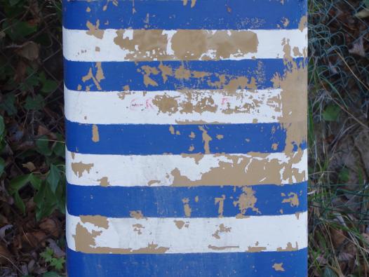 Drapeau grec sur une poubelle