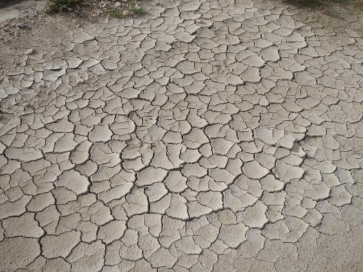 La sécheresse des salins