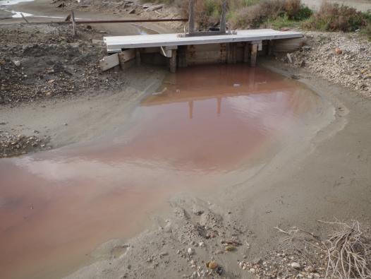 Les salins roses