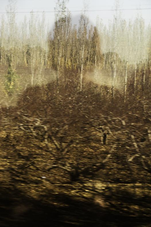 Paysage absorbé (série), Adrien Bitibaly, 2017-2019