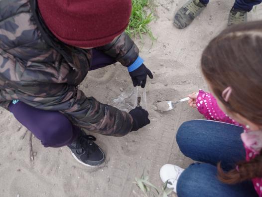 Les enfants prélèvent du sable.