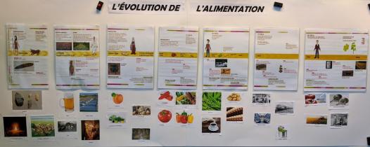 Frise réalisée avec les élèves