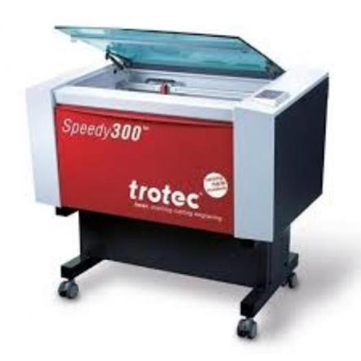 Speedy300