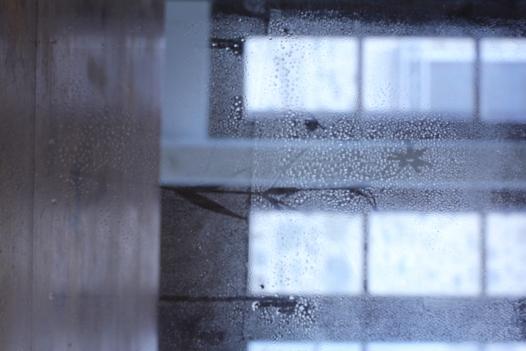 plaque de verre imprimée en transparence, devant une fenêtre.
