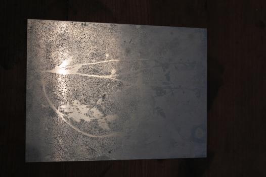 reflet végétal sur une plaque de métal