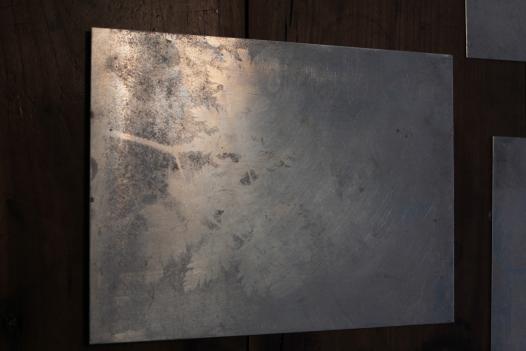 reflet végétal sur une plaque de métal