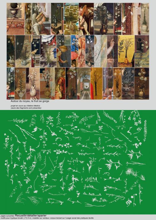 recherches iconographiques et dessin de plantes 