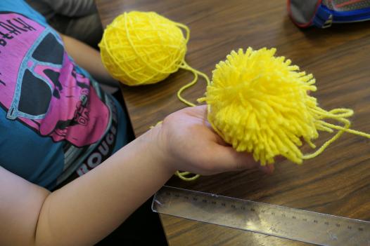 pompon