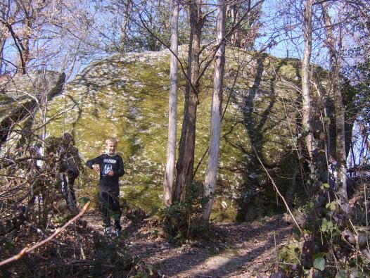 La Pierre dans la forêt