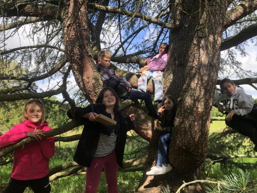 Découverte de la structure de l'arbre par le toucher