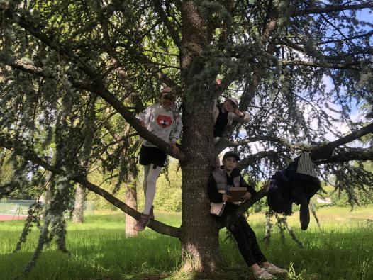 Découverte de la structure de l'arbre par le toucher