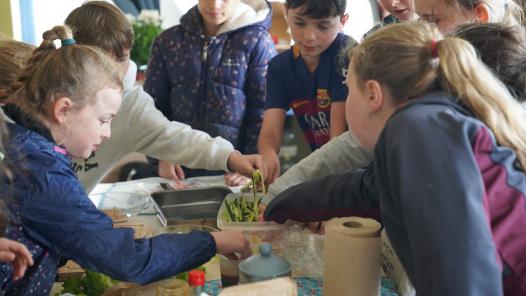 Cuisine pour humain·e
