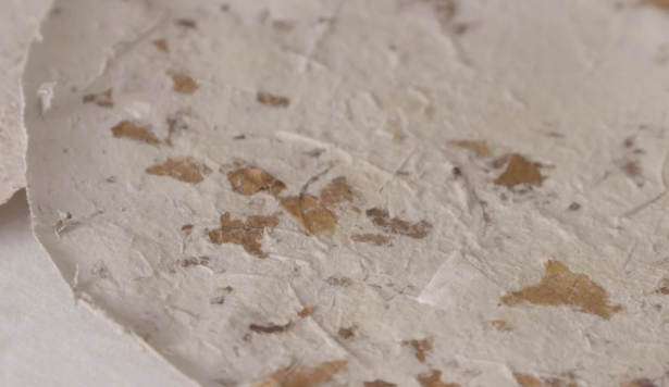 Exemple de papier réalisée à partir de papier recyclé et de feuilles végétales  / Reportage The Museum Channel : Art et Gastronomie