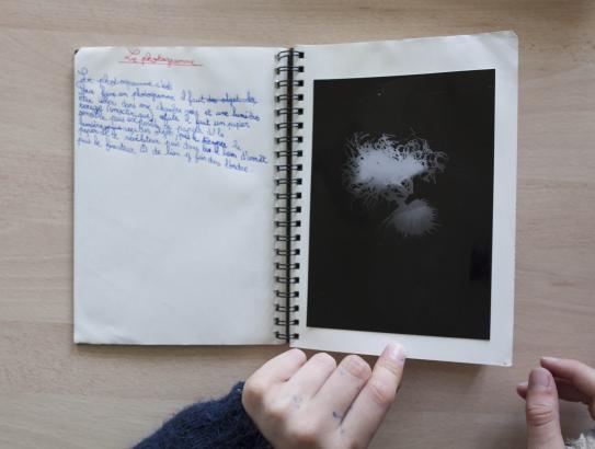 Les photogrammes