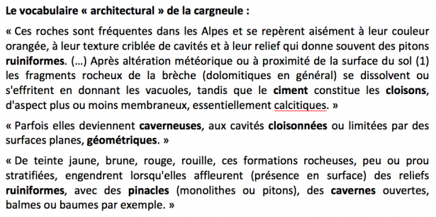 La cargneule et le Baroque (écho à la cathédrale baroque et aux Baroquiales de Sospel...)