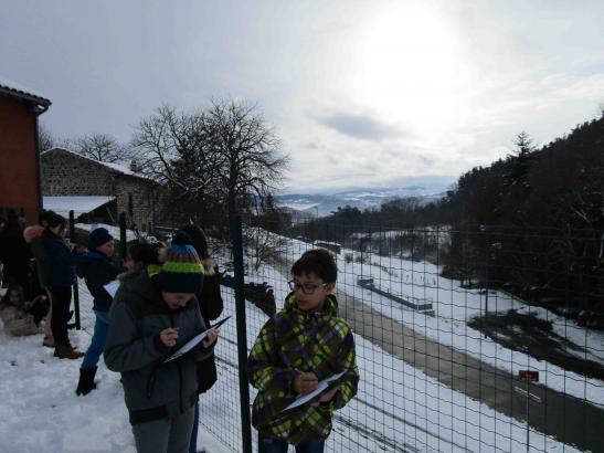Paysages sous la neige