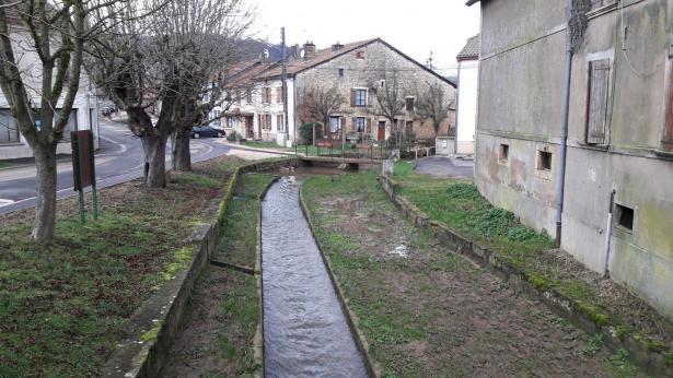 Improvisation sonore, chirurgie d'imprimante et traite des vaches