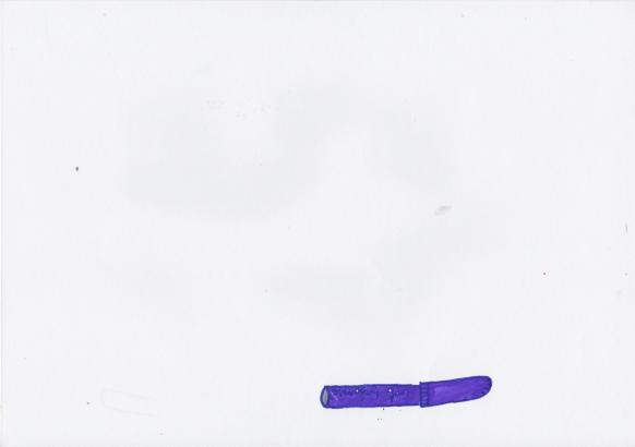 Dessin de mémoire (CM1)