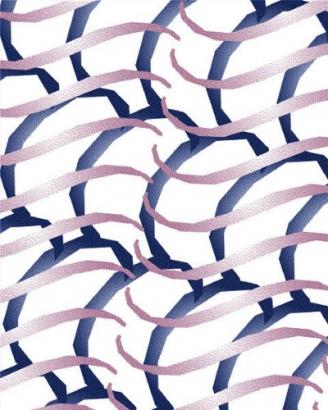 Les motifs réalisés par Marion à partir des formes de son image.
