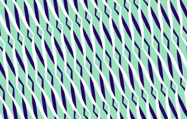 Les motifs réalisés par Marion à partir des formes de son image.