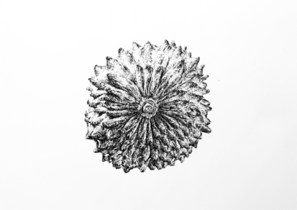 Installations de dessins