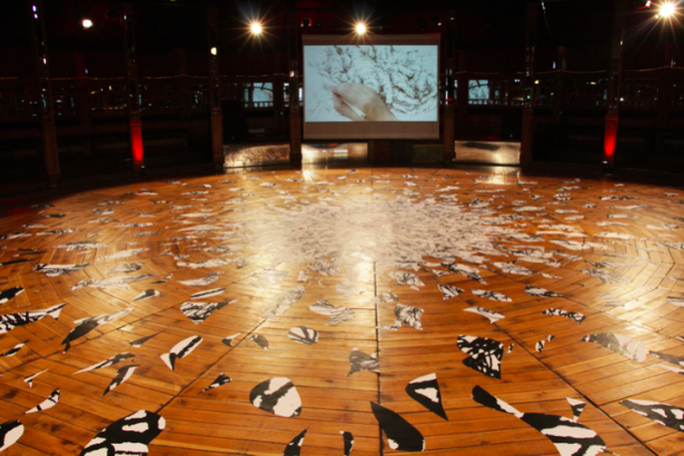 Installations de dessins