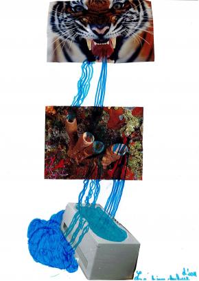 Création d'éponges