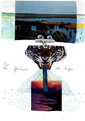 Création d'éponges