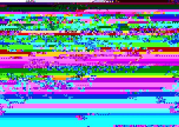 Première semaine : Internet, glitches et ninja !
