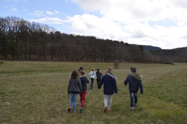 On retourne en forêt !