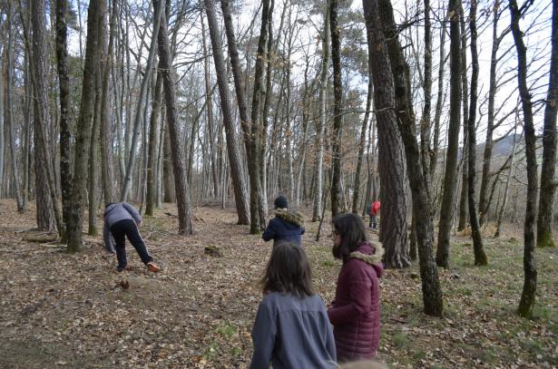 On retourne en forêt !