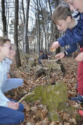 On retourne en forêt !