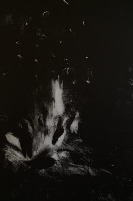L'espace blanc du monde