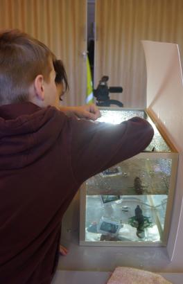 Aquarium studio