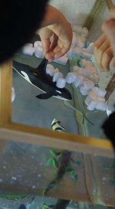 Aquarium studio