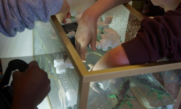 Aquarium studio