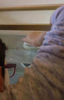 Aquarium studio