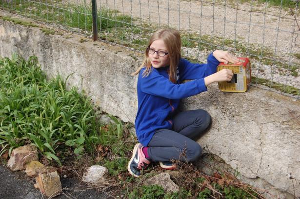 Escale 2 - Plantes et racines (1/4)