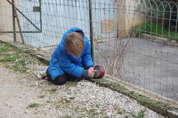 Escale 2 - Plantes et racines (1/4)