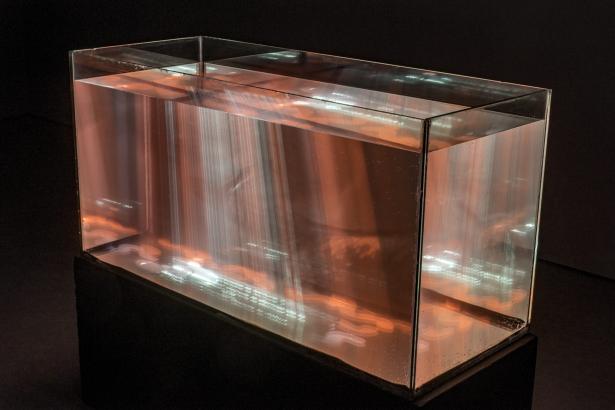 Exposition congrès "Microfluidics in Upper Rhine Valley"